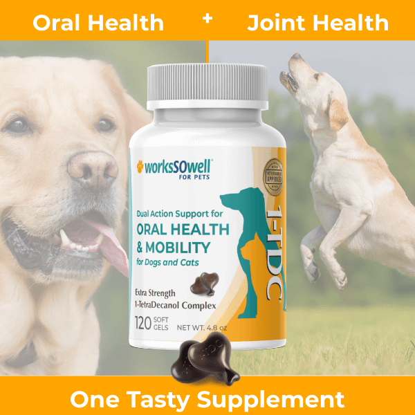 Dog Oral Health and Mobility Support Supplement, 120