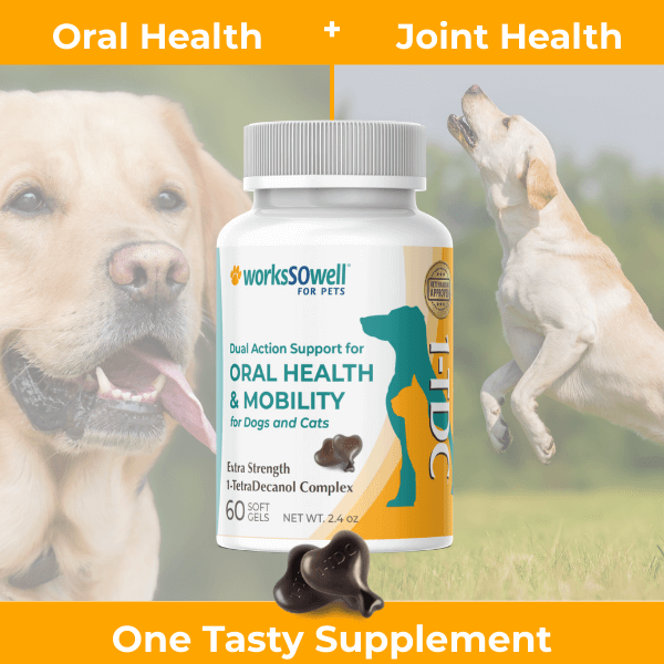 Dog Oral Health and Mobility Support Supplement, 60
