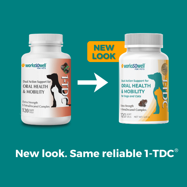 1-TDC ORAL HEALTH + MOBILITY SUPPORT FOR DOGS & CATS 2 Bottles (240 soft gels)