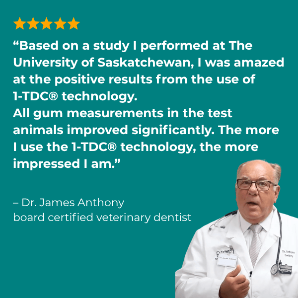 1-TDC ORAL HEALTH + MOBILITY SUPPORT FOR DOGS & CATS 2 Bottles (240 soft gels)
