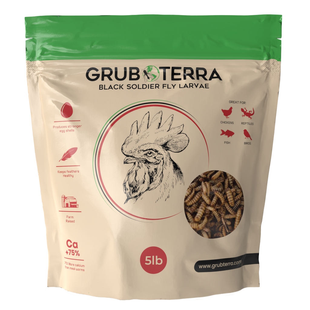 Dried Black Soldier Fly Larvae Bird Treats product image 1