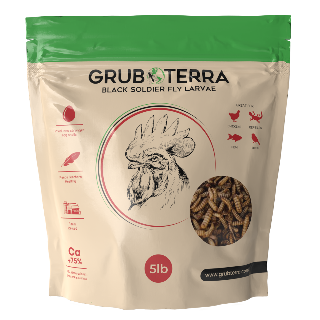 Dried Black Soldier Fly Larvae Bird Treats product image 1