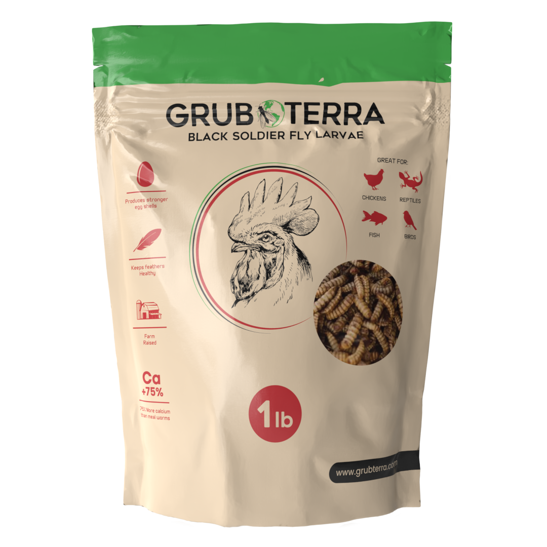 Dried Black Soldier Fly Larvae Bird Treats product image 8