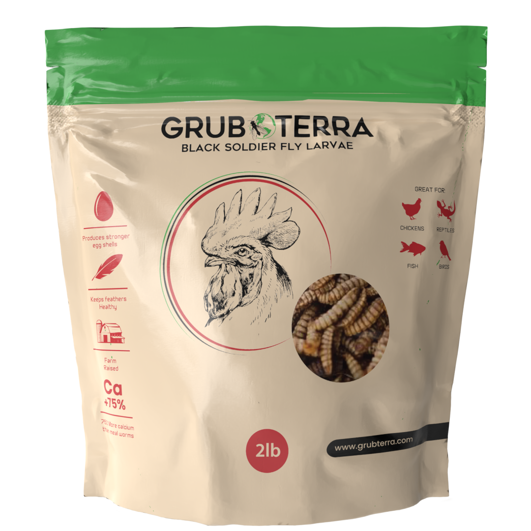 Dried Black Soldier Fly Larvae Bird Treats product image 9