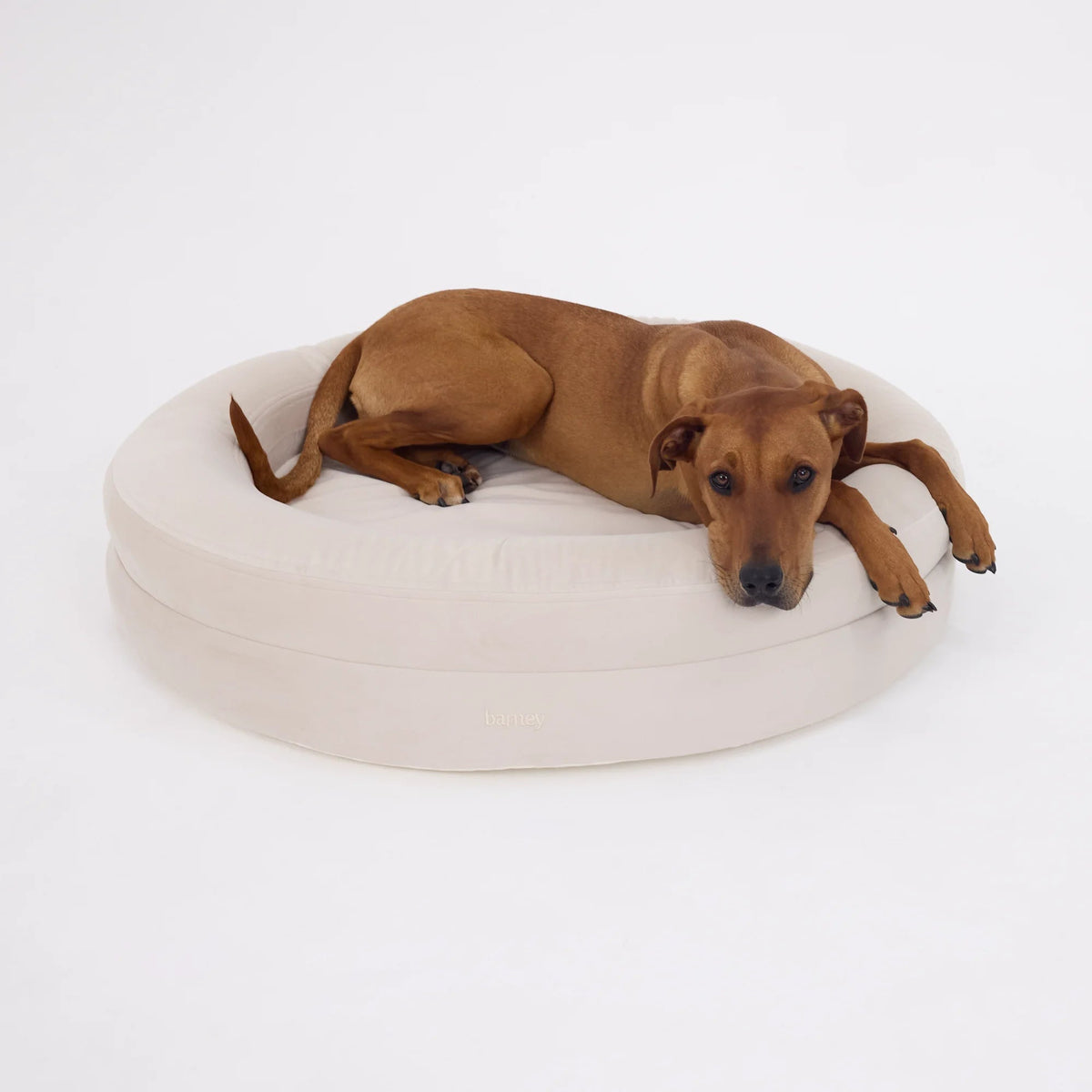 Round Orthopaedic Dog Bed Bone / L