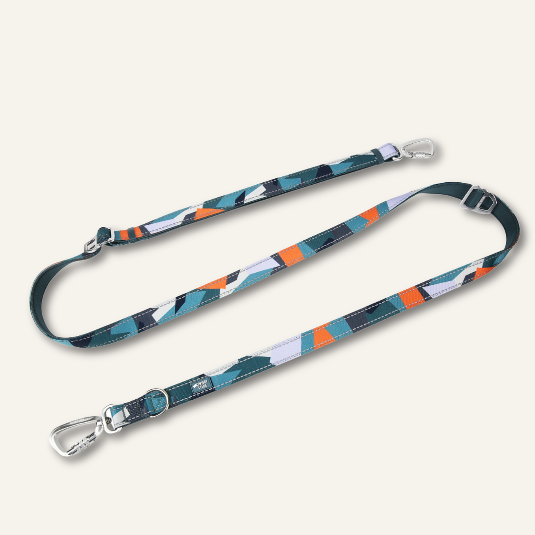 Adjustable Multi-Way Dog Leash Ridge