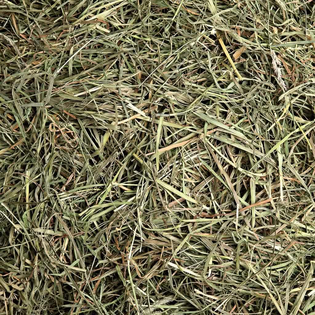 3rd Cutting Timothy Hay, :Smallpetselect