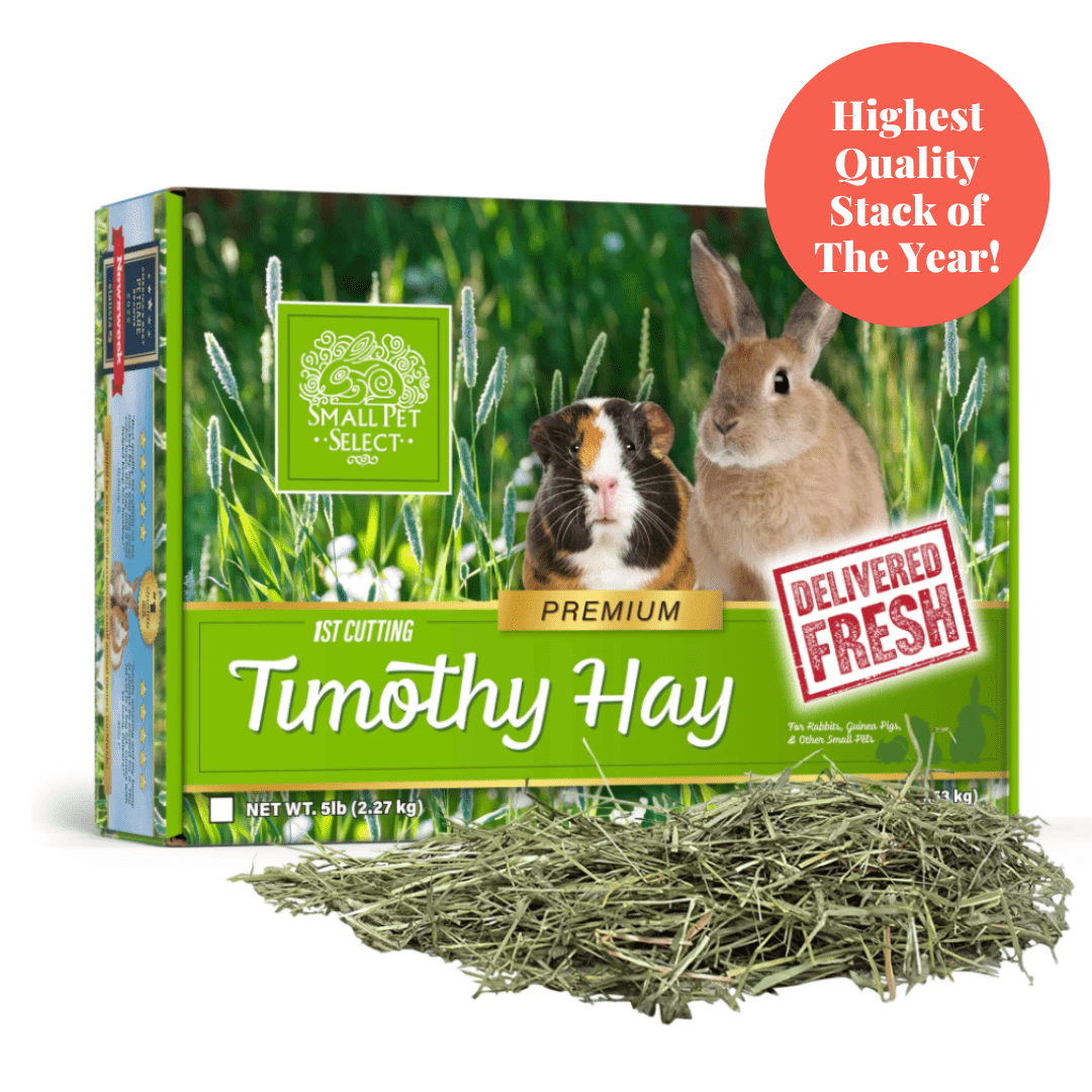 First-Cutting Timothy Hay for Small Animals, 10lb