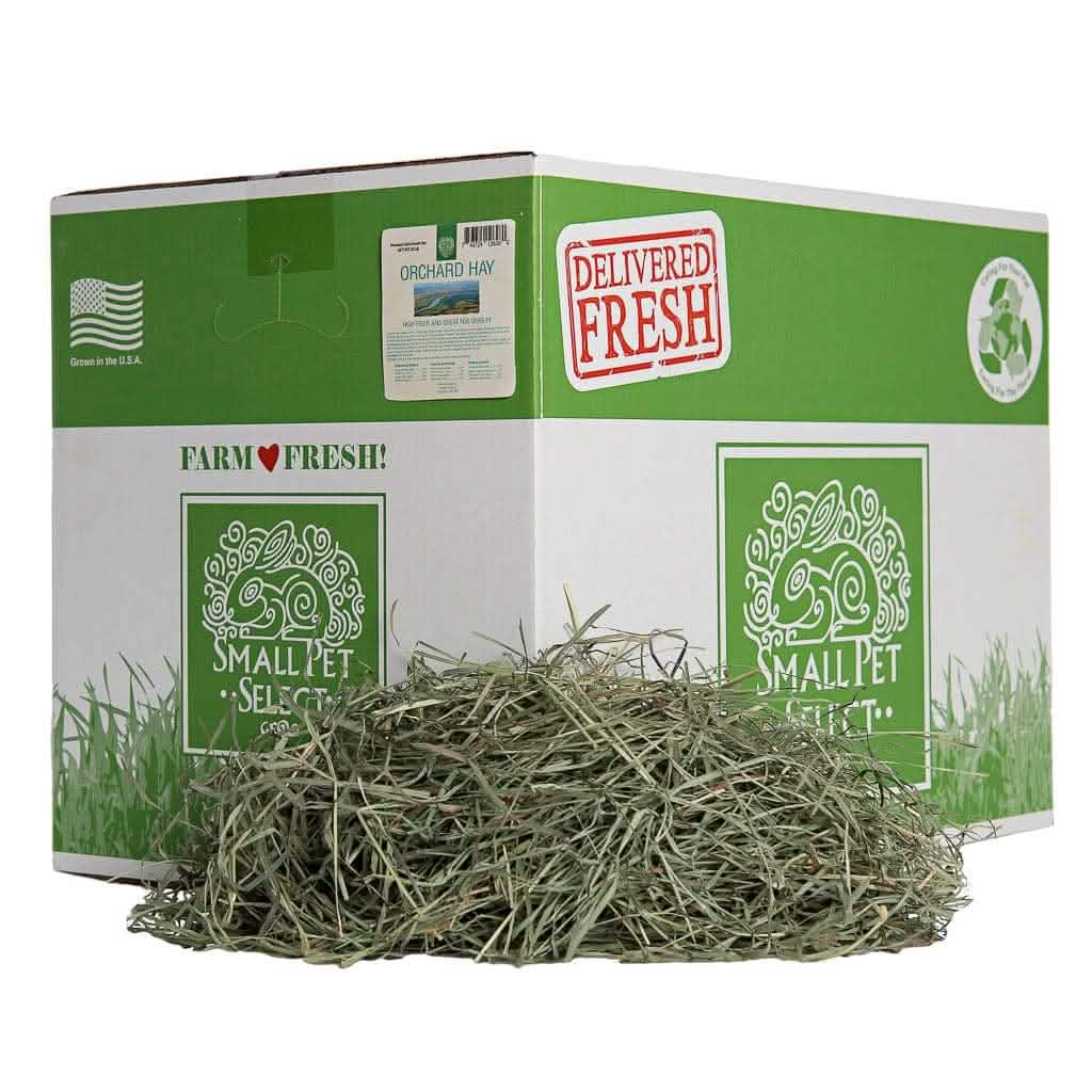 Orchard Grass Hay for Small Animals, 20lb