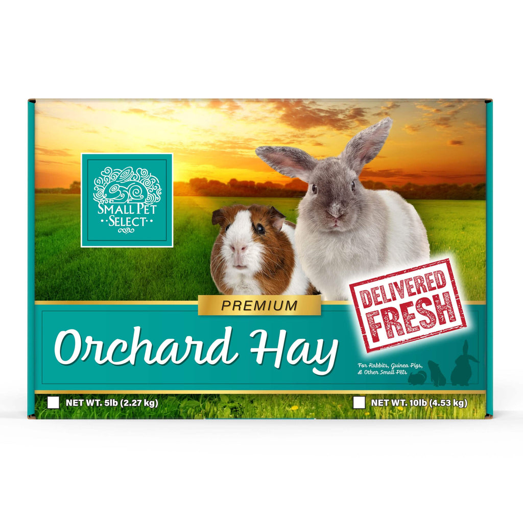 Orchard Grass Hay for Small Animals, 2lb
