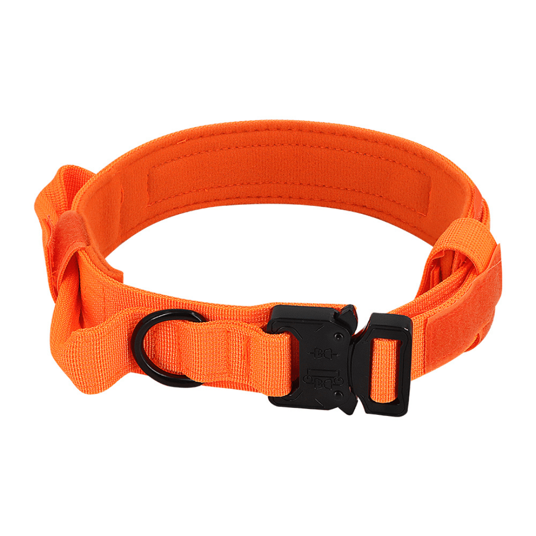 Padded Tactical Dog Collar, Blaze Orange / Medium (13-17 in)
