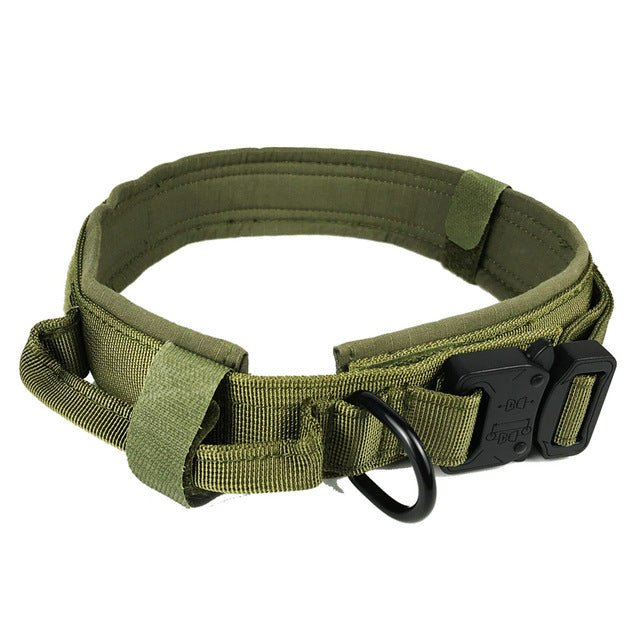 Padded Tactical Dog Collar, Olive Drab Green / Medium (13-17 in)