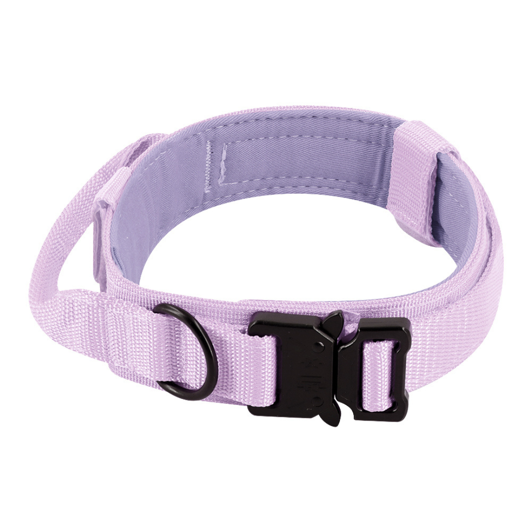 Padded Tactical Dog Collar, Lavender / Medium (13-17 in)