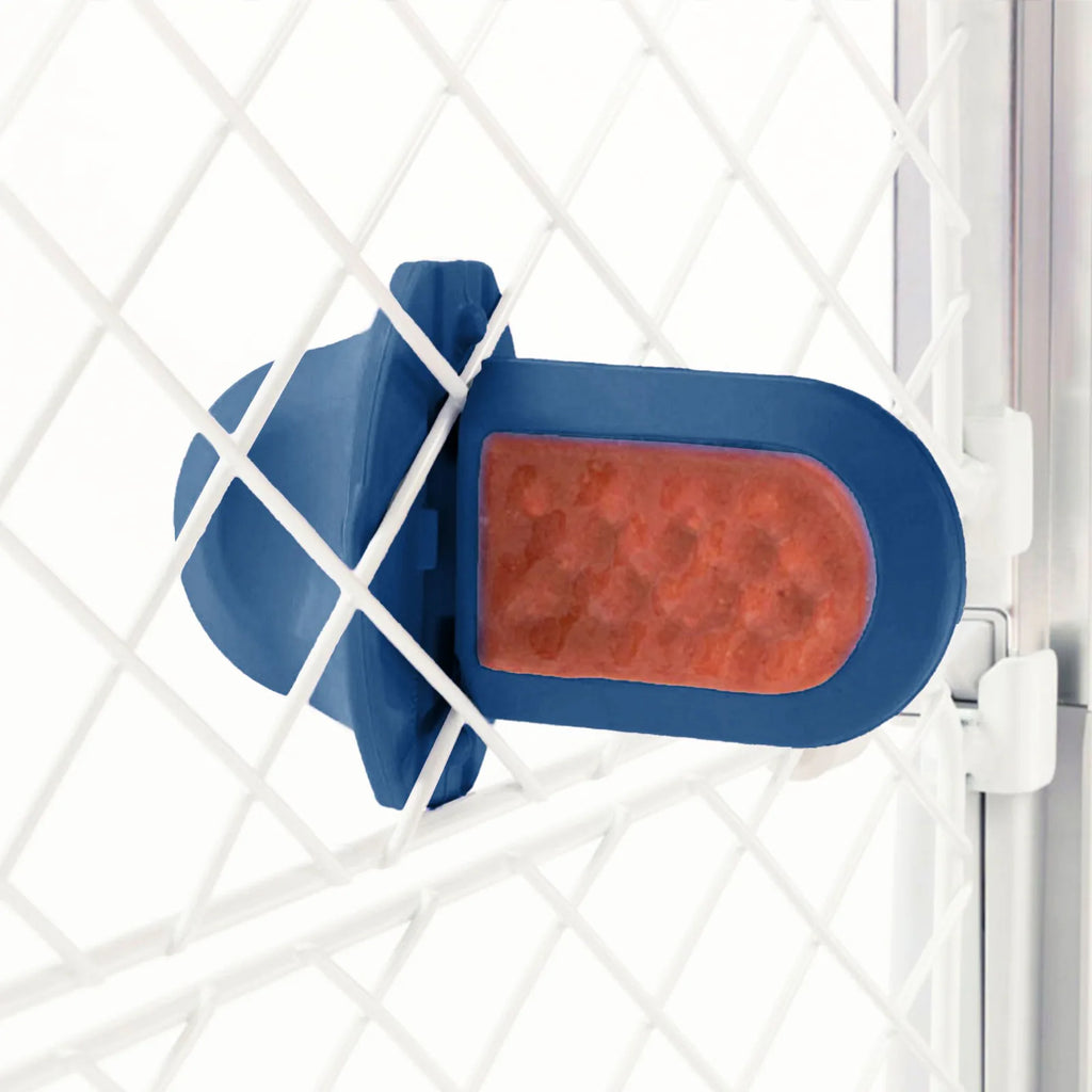 A royal blue Groov Training Aid attached to a white dog crate
