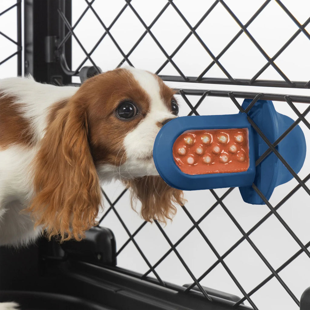 A dog licking a royal blue Groov Training Aid attached to a black dog crate