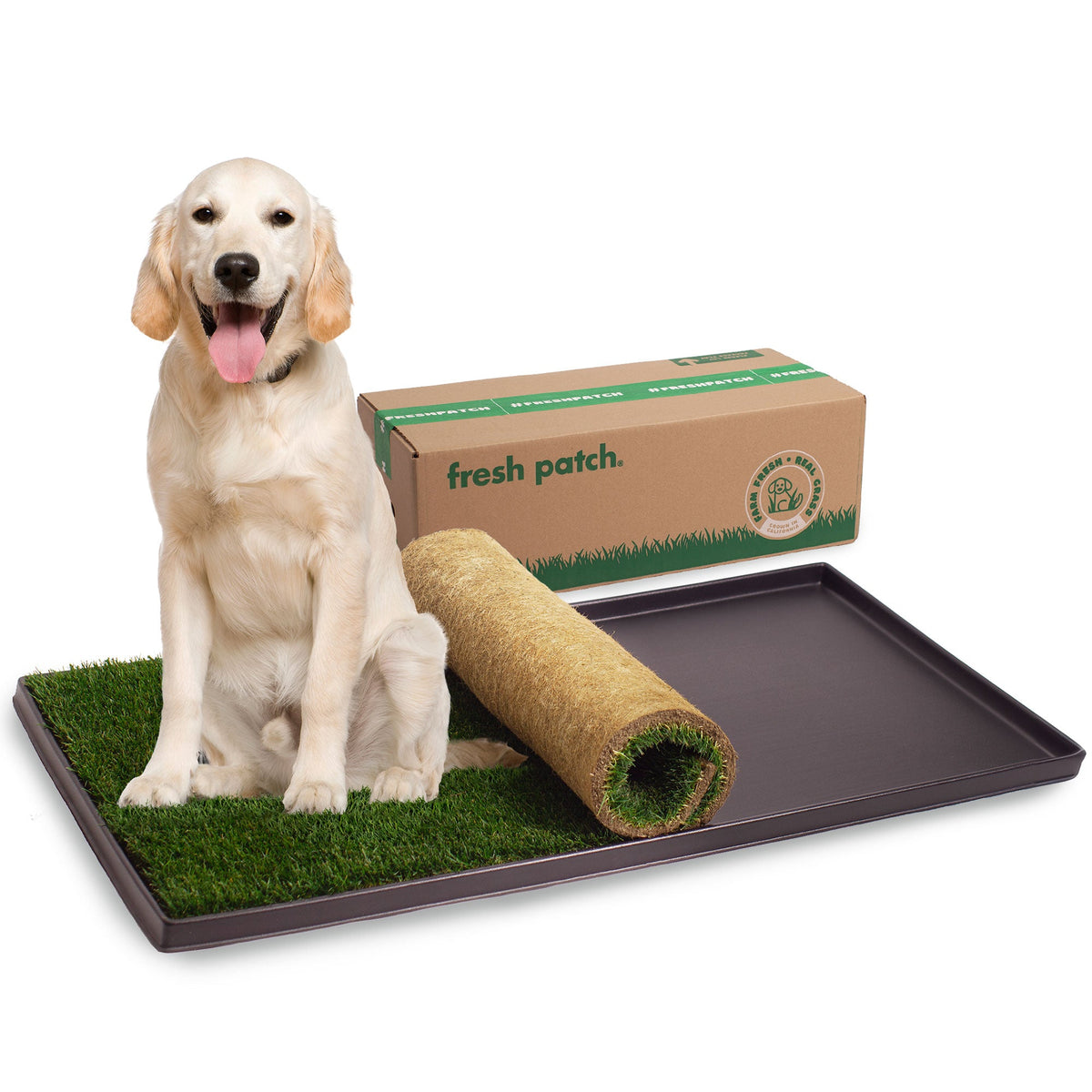 Dog sitting on a grass-like patch next to a roll of artificial grass and a 'fresh patch' box.