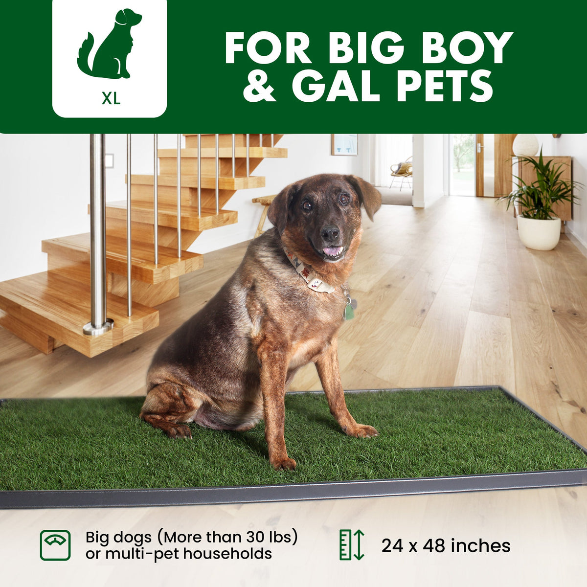 Dog standing on a grass-like mat in a home setting with text indicating size and suitability for pets.