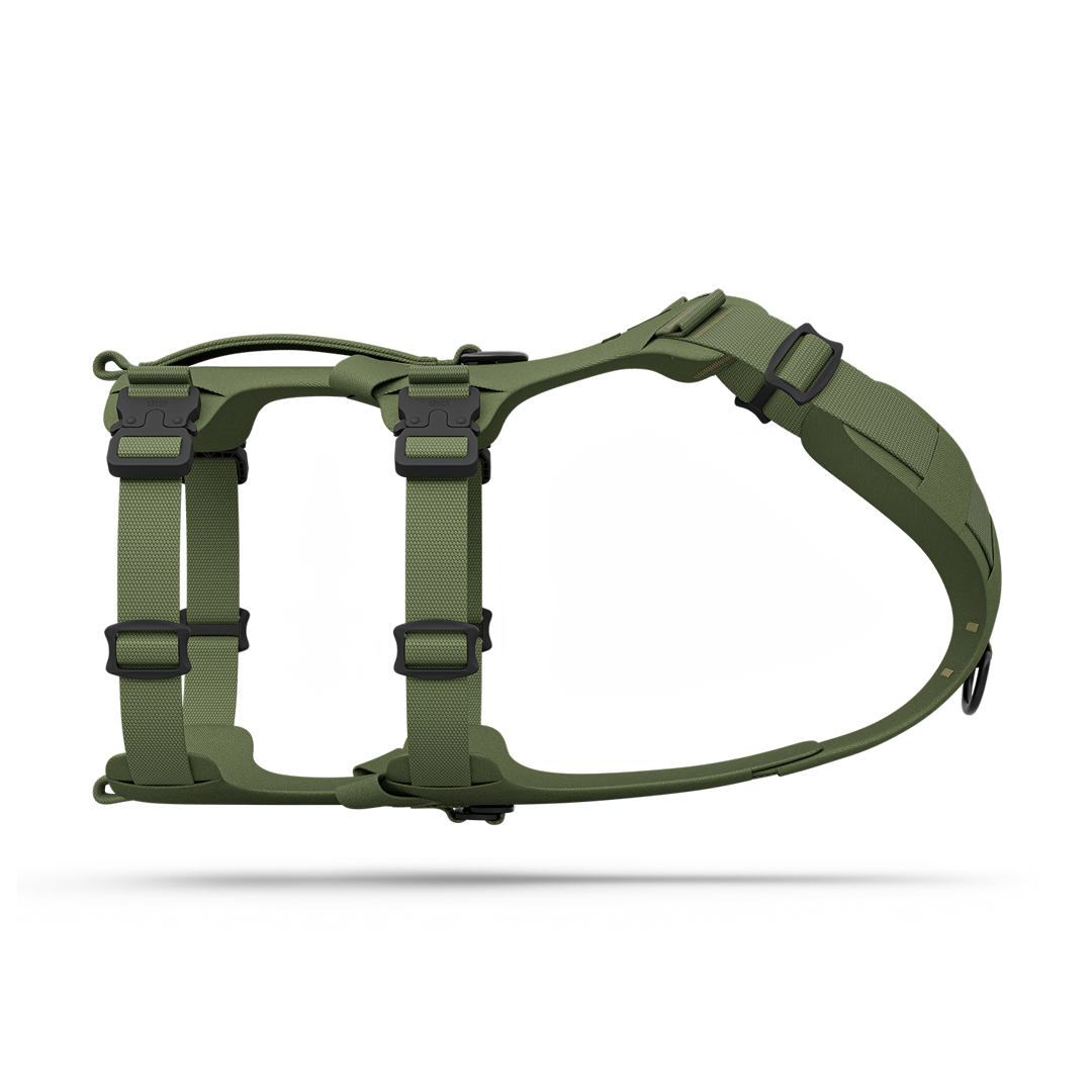 Modular Trail Dog Harness product image 1