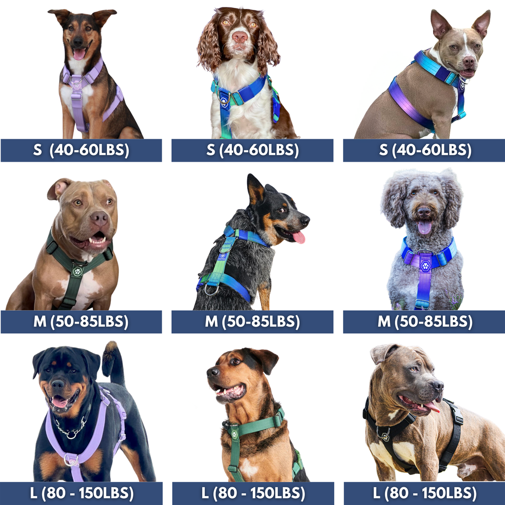 No-Pull Dog Harness product image 6