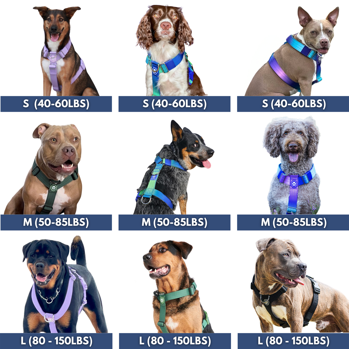 No-Pull Dog Harness product image 6