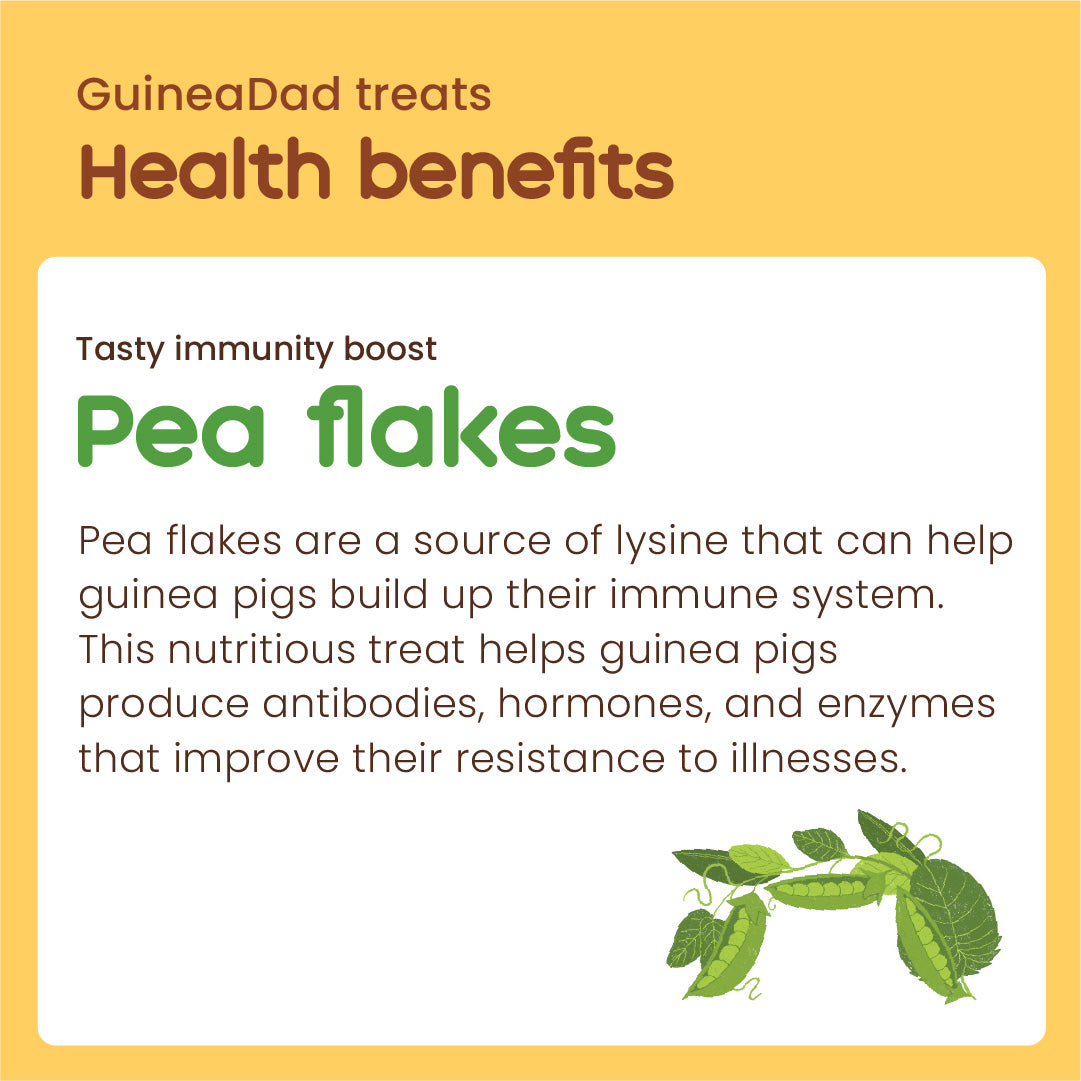 Pea Flake Guinea Pig Treats product image 6