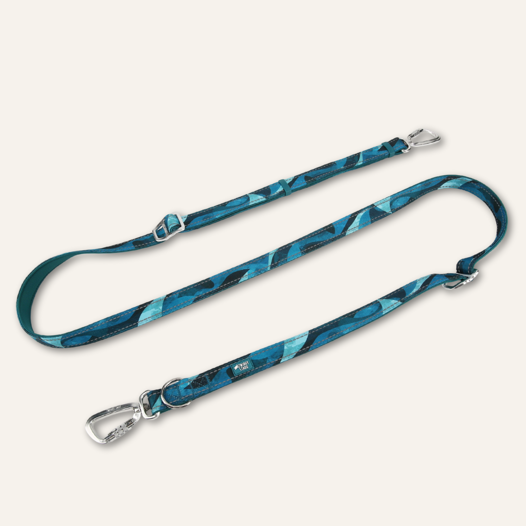 Adjustable Multi-Way Dog Leash Lagoon