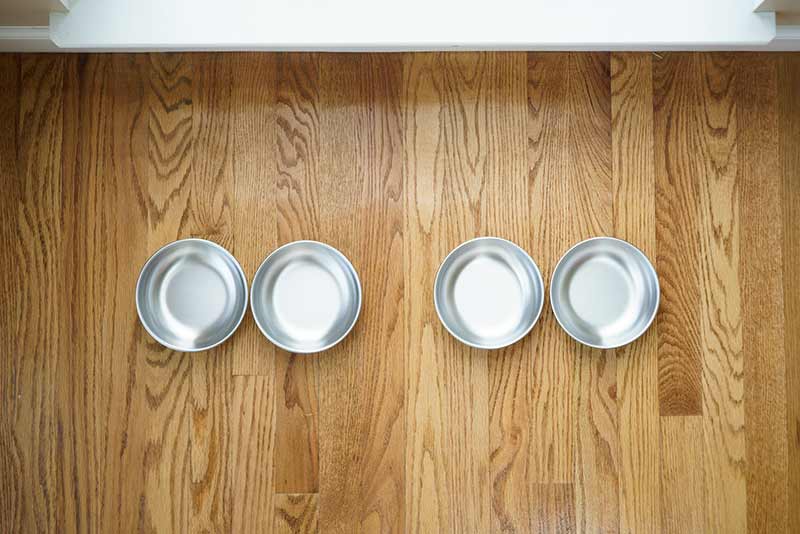 Stainless Steel Cat Bowls 4 Bowls