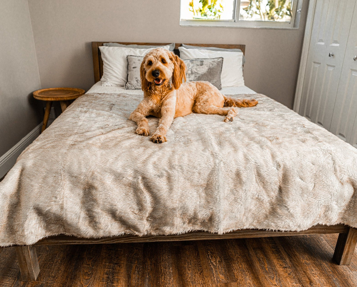 Waterproof Faux Fur Dog Throw Blanket, Large (80"L X 62"W)