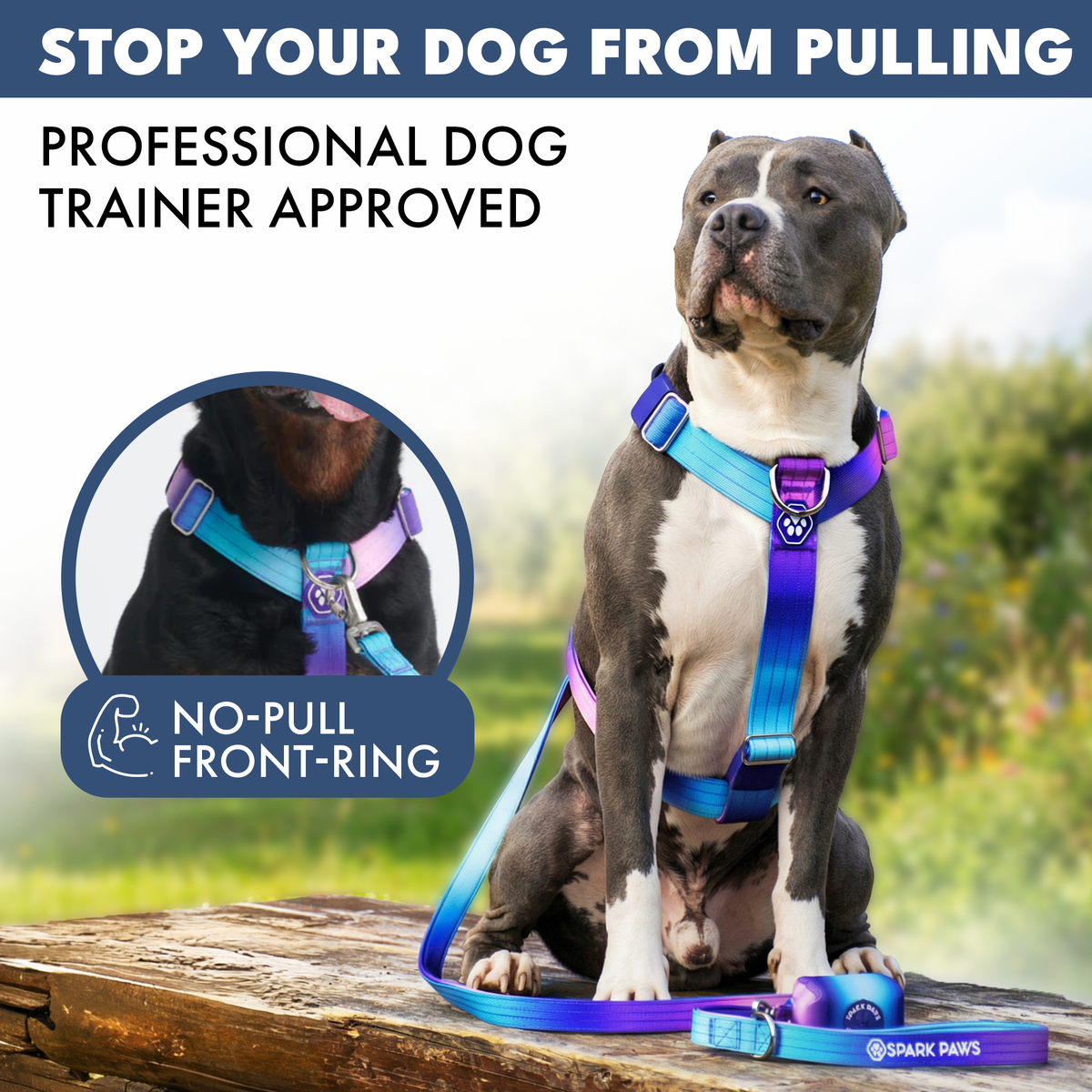No-Pull Dog Harness Walking Set product image 3