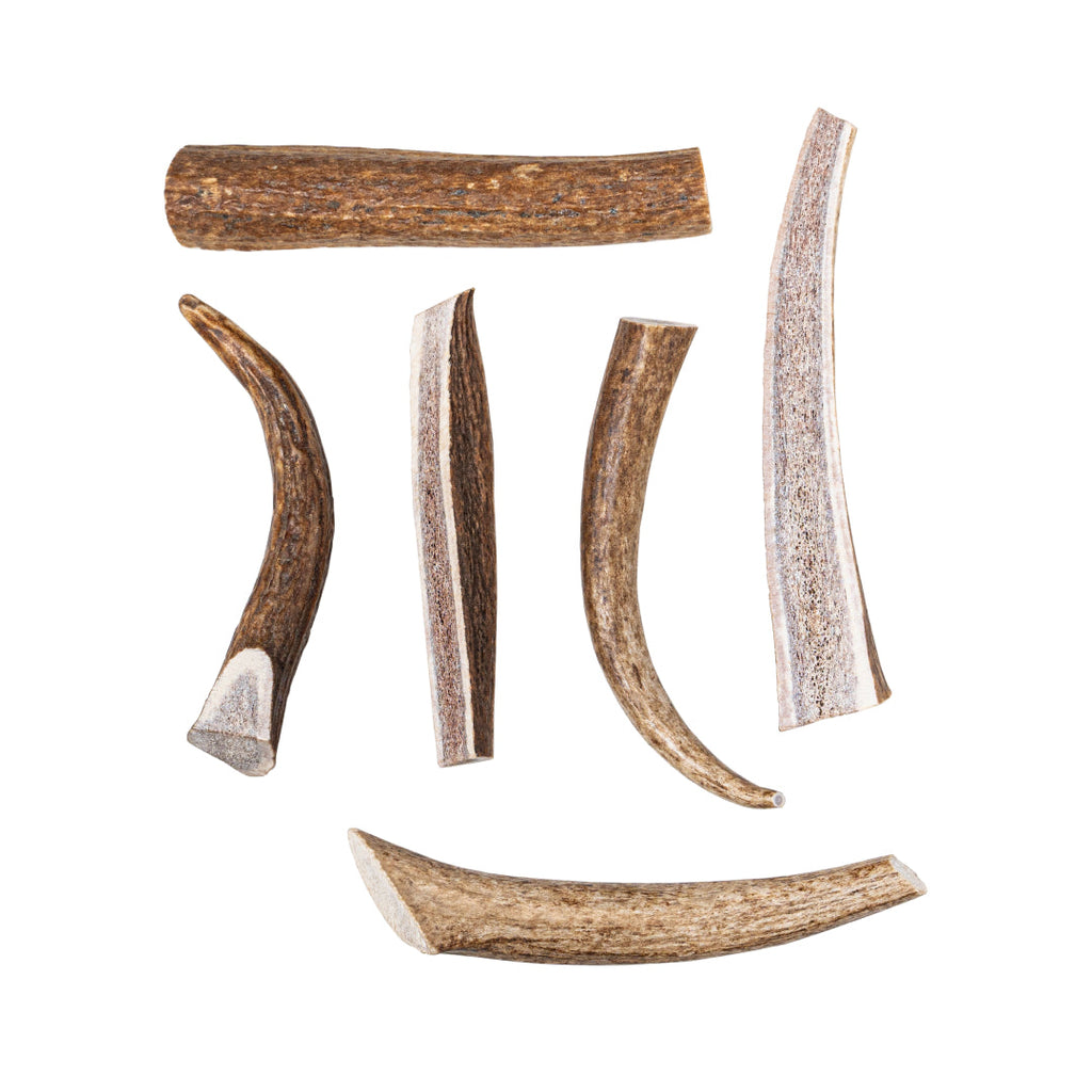 Mixed Antler Dog Chew Pack product image 1
