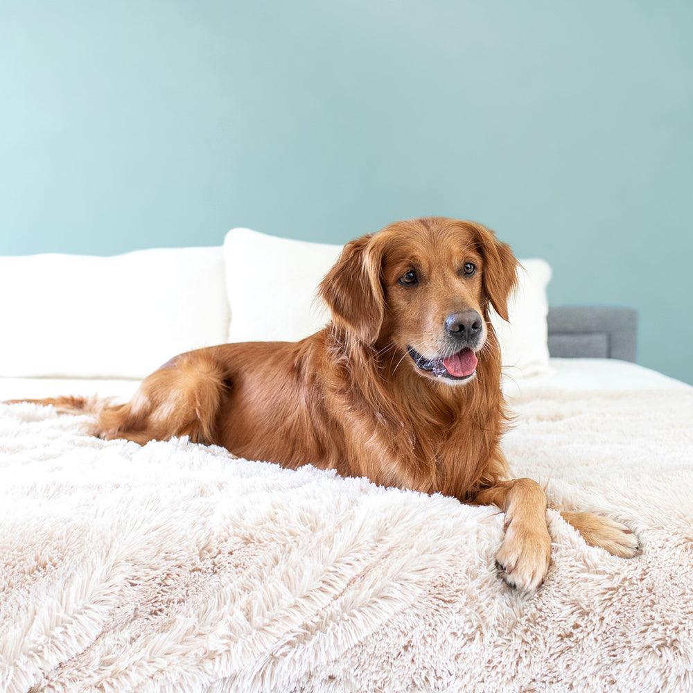Waterproof Faux Fur Pet Throw Blanket Beige / Small (28"L x 38"W)