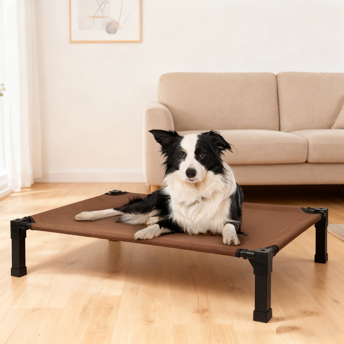 Elevated Mesh Dog Cot Bed with Folding-Leg Frame, Seven Colors and Four Labeled Sizes from 35 to 60 Inches
