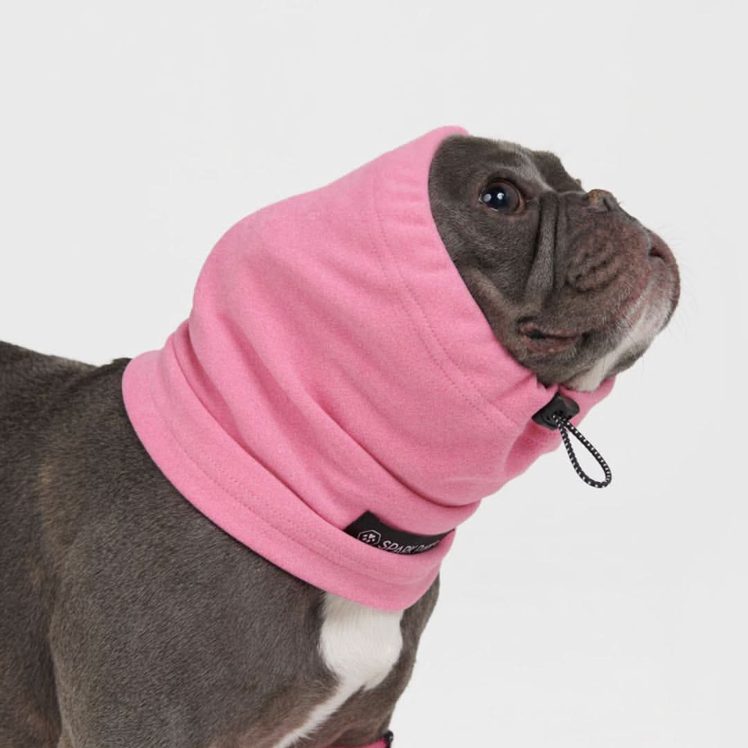 Adjustable Dog Ear Cover product image 2