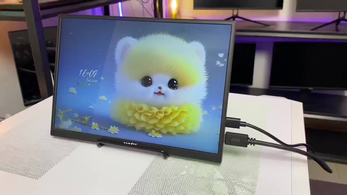 Anmite 10.5" IPS Portable Monitor 1280P 100% sRGB USB-C for an Everyday Personal Care Routine