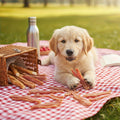 Dog Treats Chicken and Duck Jerky Chews in 200g or 400g Package Options for Dog Reward Use