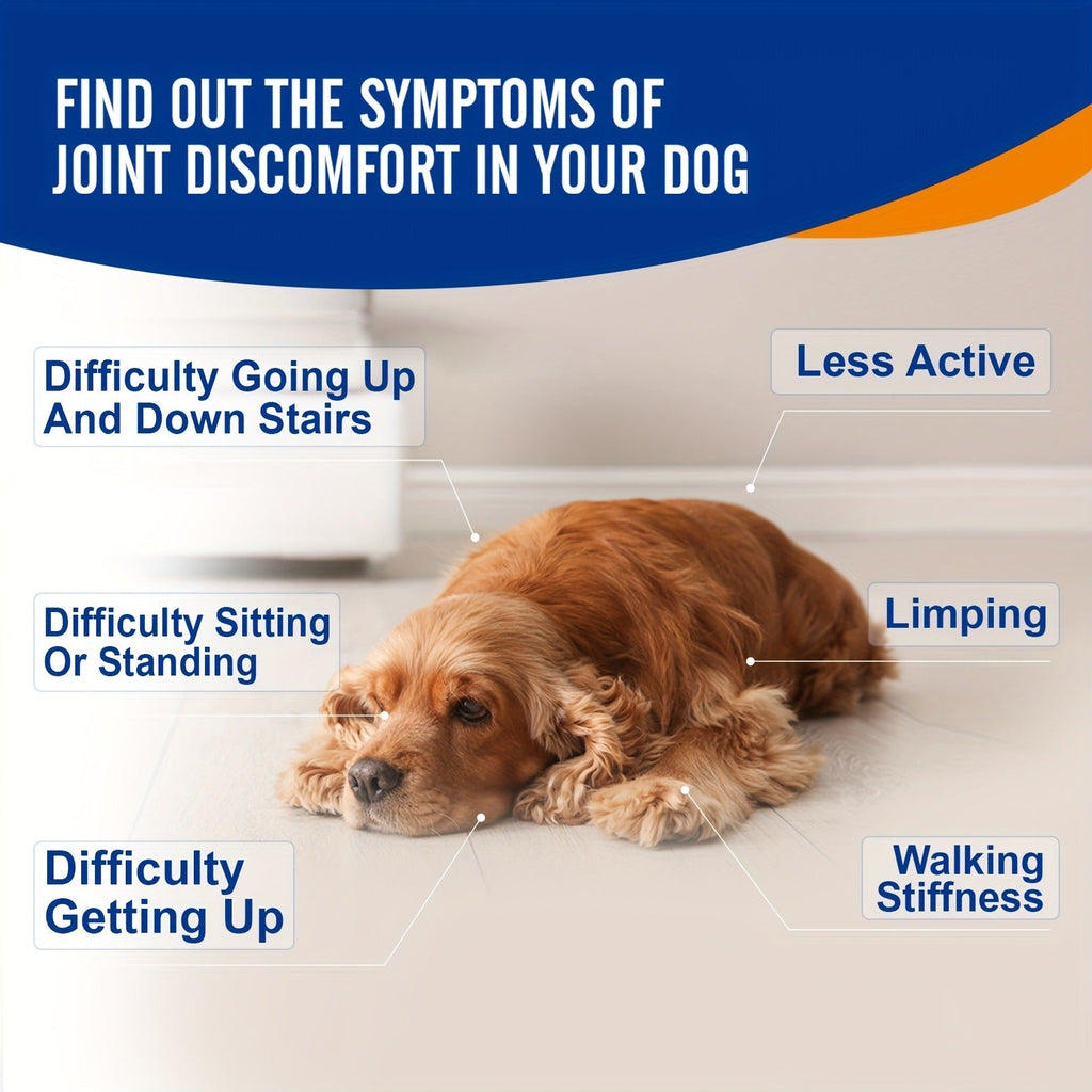 Dog Glucosamine Joint Supplement Chews 120ct | Chicken Flavor Soft Chews with Glucosamine, Chondroitin, MSM & Vitamins for Hip & Joint