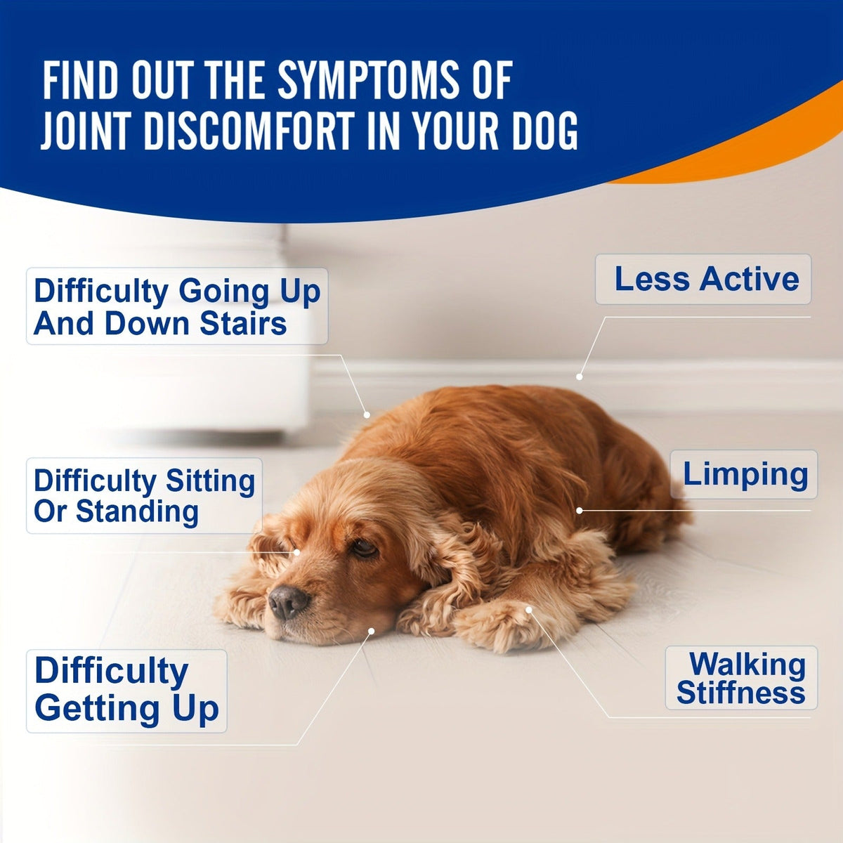 Dog Glucosamine Joint Supplement Chews 120ct | Chicken Flavor Soft Chews with Glucosamine, Chondroitin, MSM & Vitamins for Hip & Joint