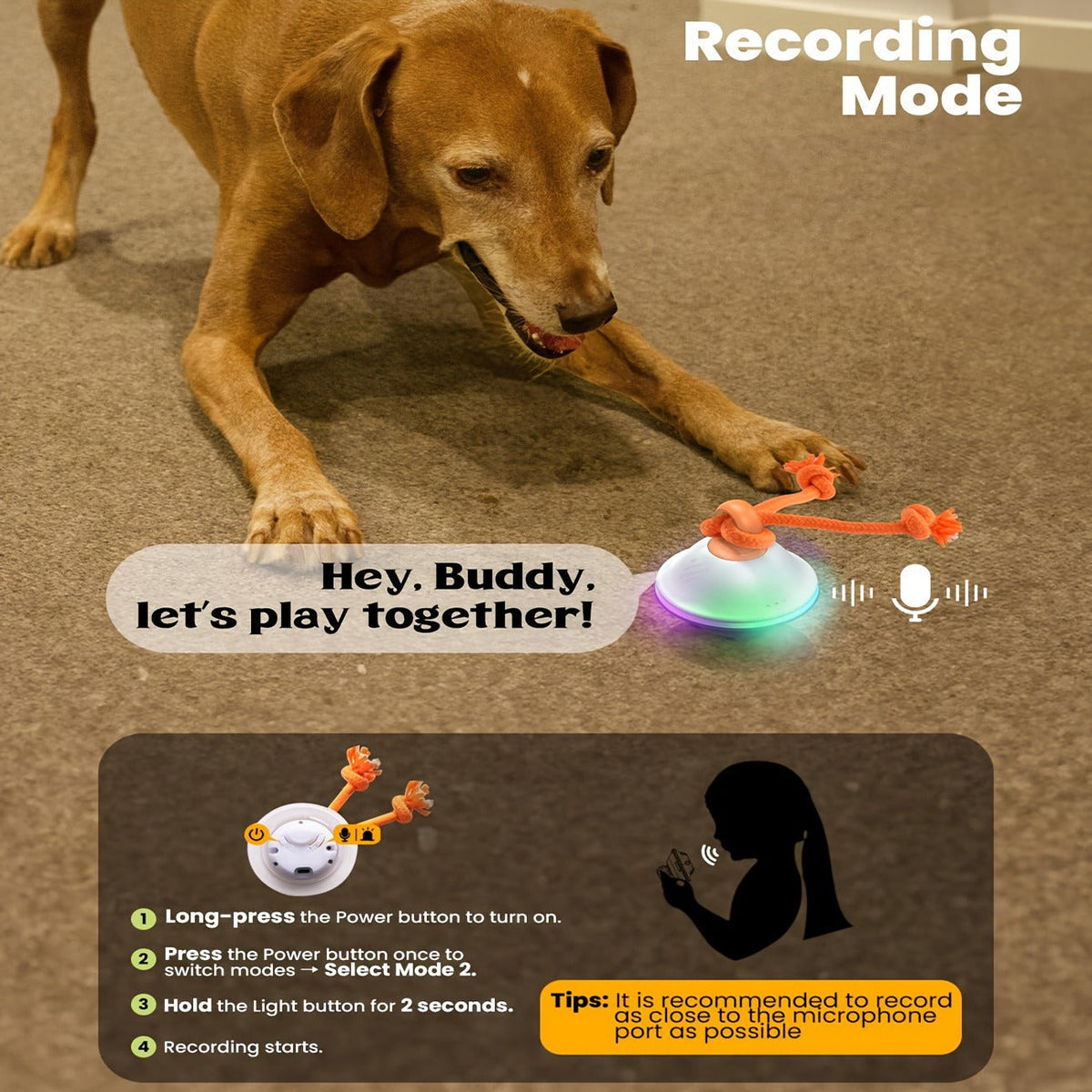 Dog Toy Motion-Activated Auto-Rolling Ball with Voice Recording, Rope and White or Gray Options