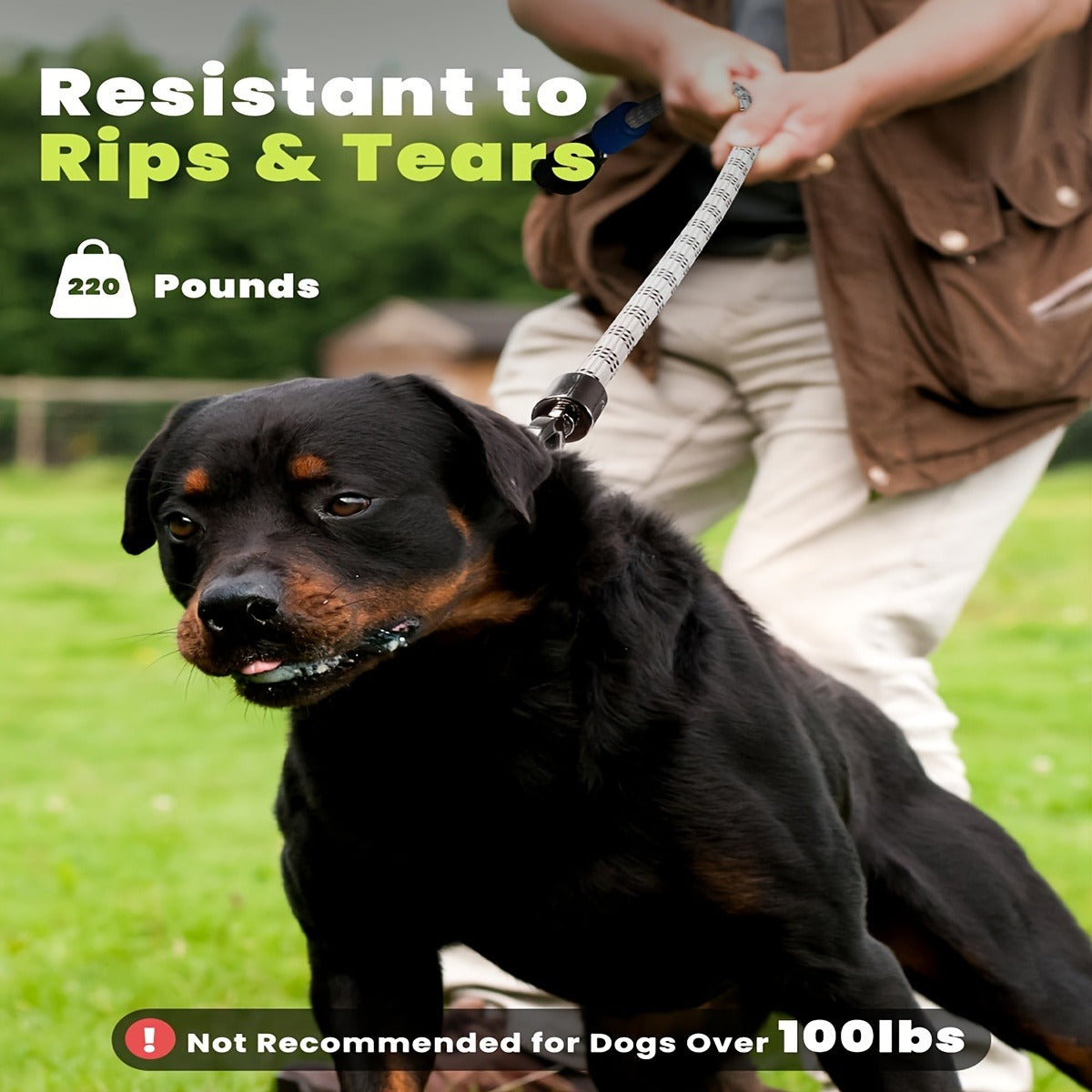Four-Foot LED Dog Leash with Rechargeable Multicolor Light Strip, Rotating Hook and 13 Pictured Modes