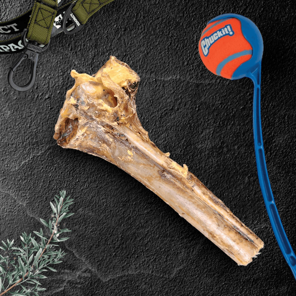 Large Ostrich Cane Dog Chew product image 1