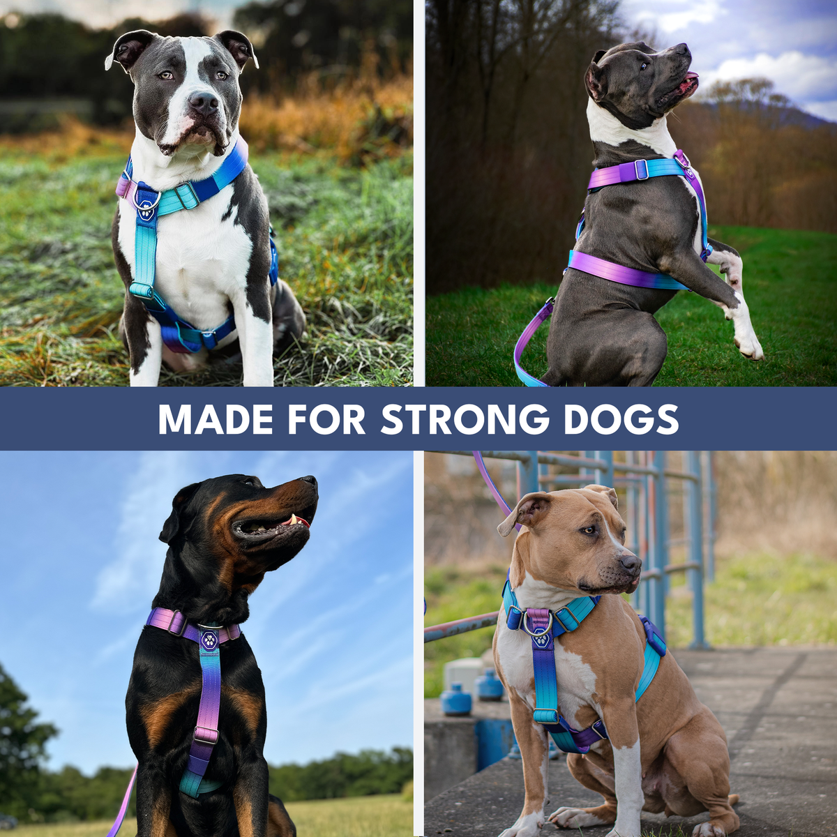 No-Pull Dog Harness product image 7