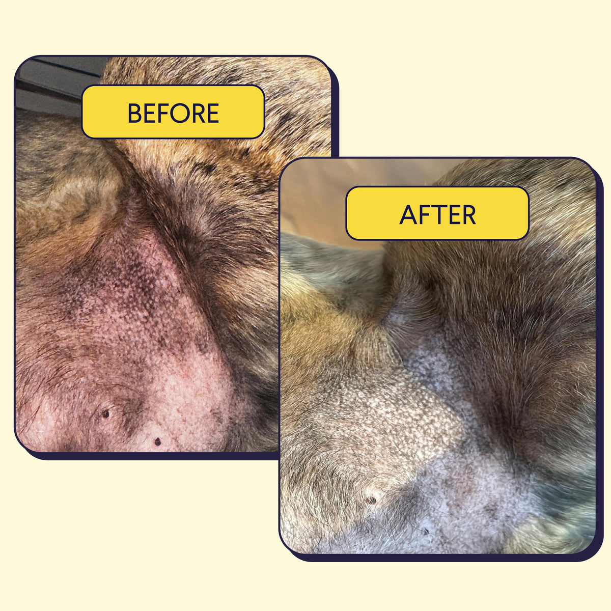 Dog Allergy and Itch Soft Chews product image 5
