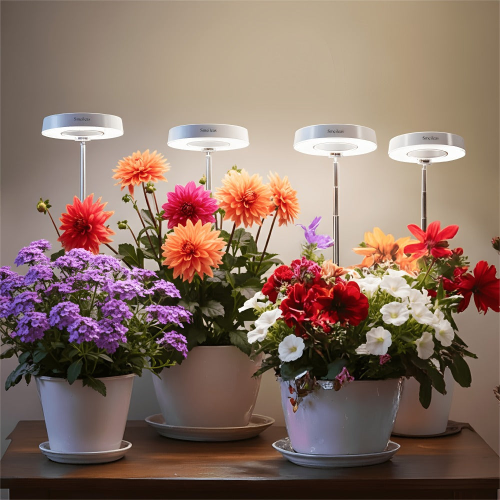 Full Spectrum LED Grow Lights for Indoor Plants, 3-Pack with Auto Timer 3/6/9H, 4 Dimmable Levels & Adjustable Height