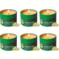 Citronella-Labeled Candle Six-Pack with 4.4 oz Green Round Tins, Gold-Tone Lids and Single-Wick Format