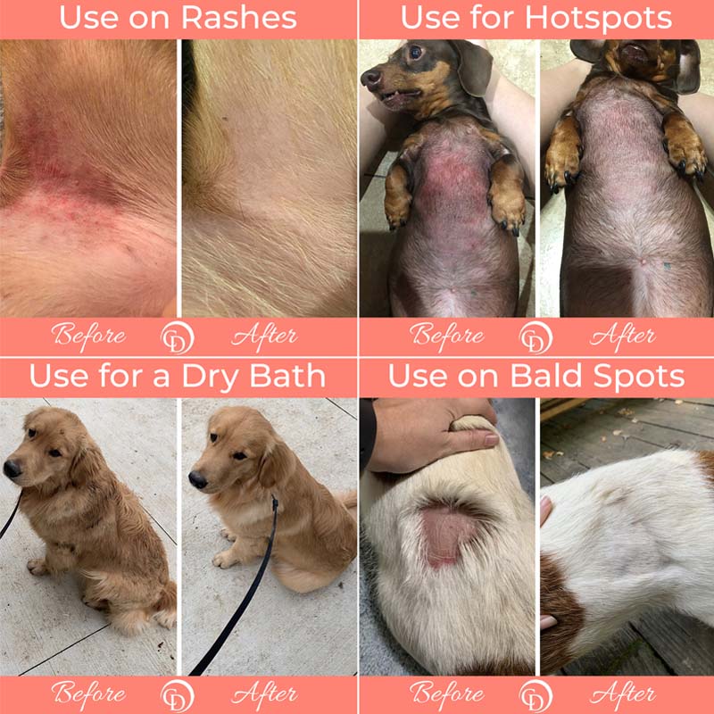 Dog and Cat Skin Care Grooming Trio product image 6