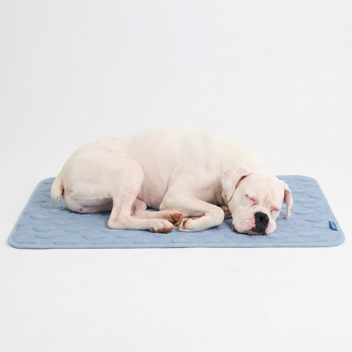 Breathable Cooling Dog Mat Hearts Ash Blue / XL