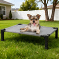 Elevated Dog Bed with Cooling Mesh & Metal Frame – Raised Dog Cot Bed with Washable Breathable Mesh, No-Slip Feet