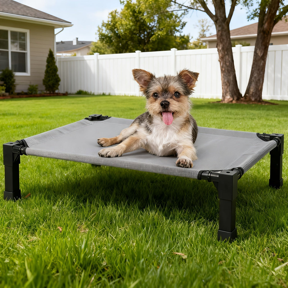 Elevated Mesh Dog Cot Bed with Folding-Leg Frame, Seven Colors and Four Labeled Sizes from 35 to 60 Inches