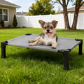 Elevated Mesh Dog Cot Bed with Folding-Leg Frame, Seven Colors and Four Labeled Sizes from 35 to 60 Inches