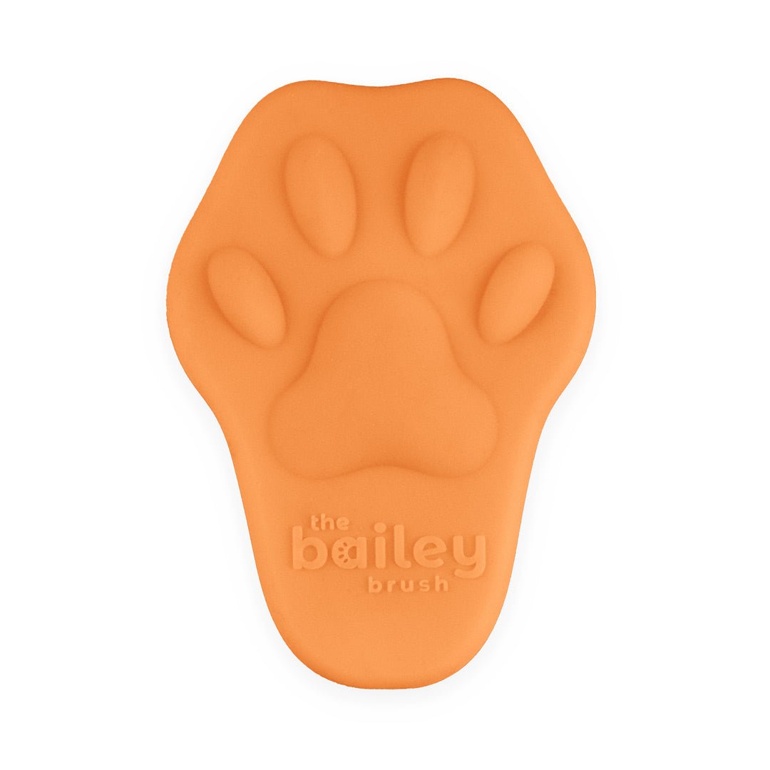 Silicone Cat Grooming Brush Pawpaya Orange
